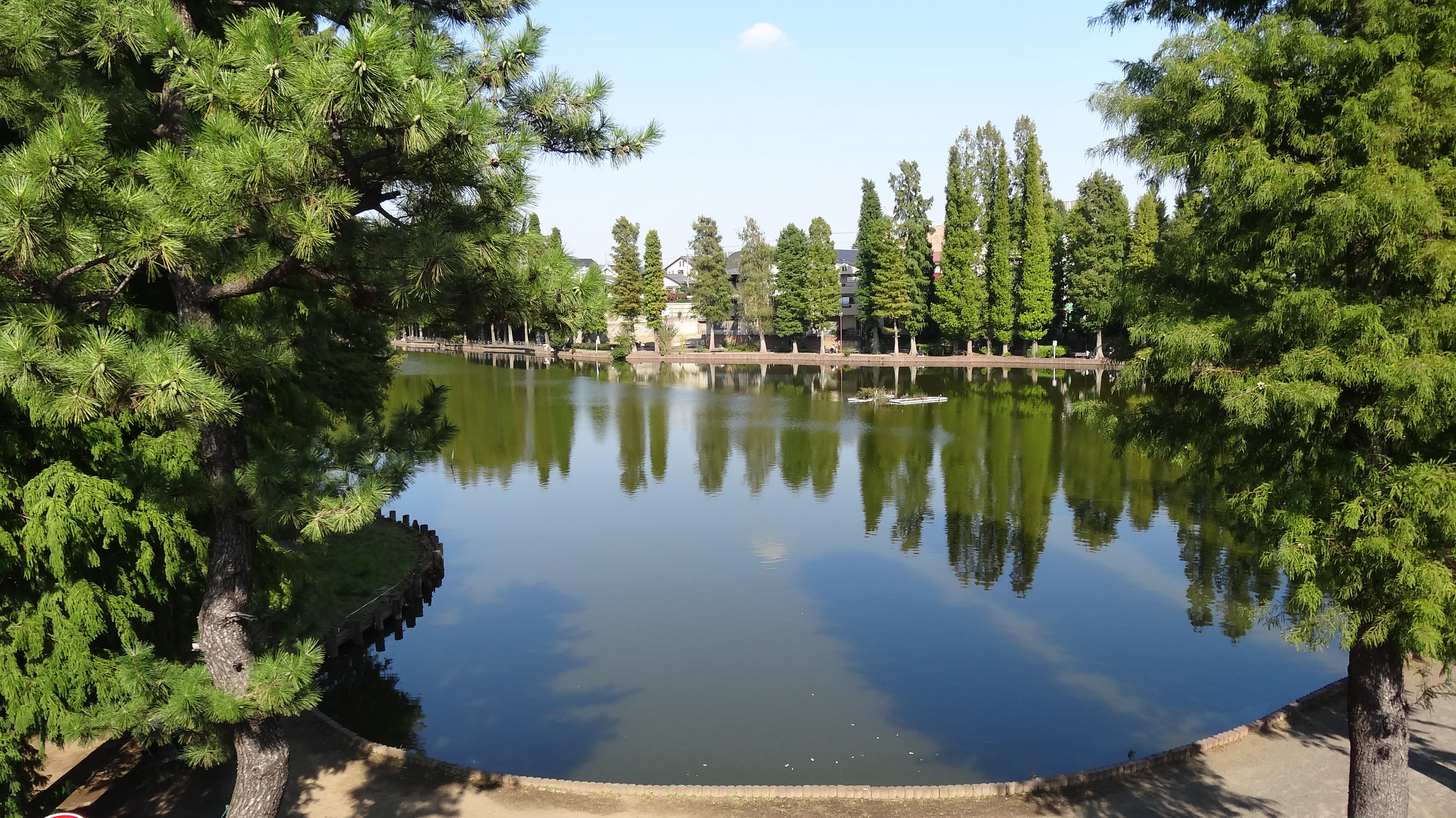 県立別所沼公園 武蔵浦和なび