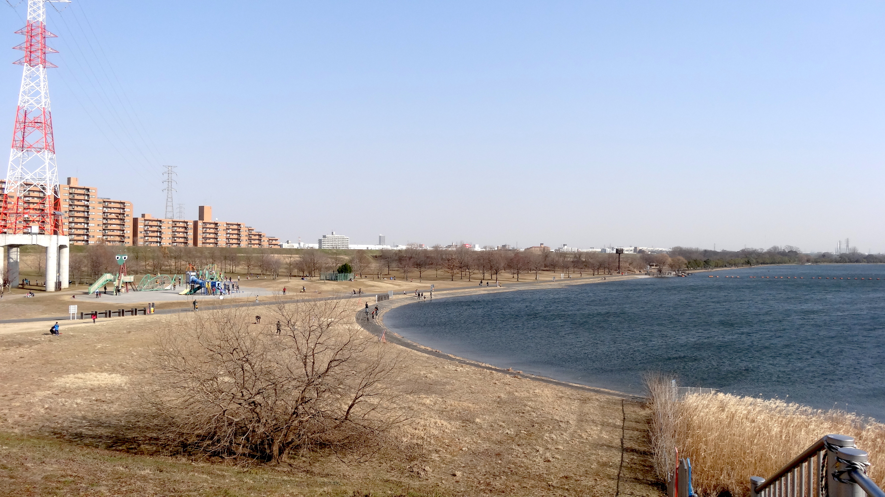 荒川彩湖公園 アラカワサイココウエン 武蔵浦和なび