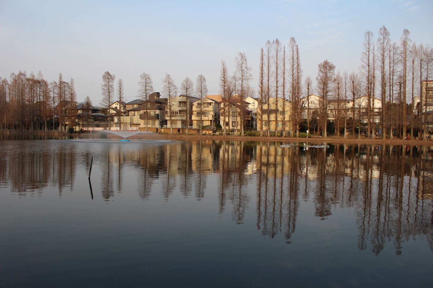 別所沼公園を散歩