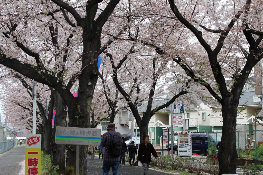 花と緑の散歩道 ハナトミドリノサンポミチ 武蔵浦和なびの武蔵浦和周辺スポット紹介