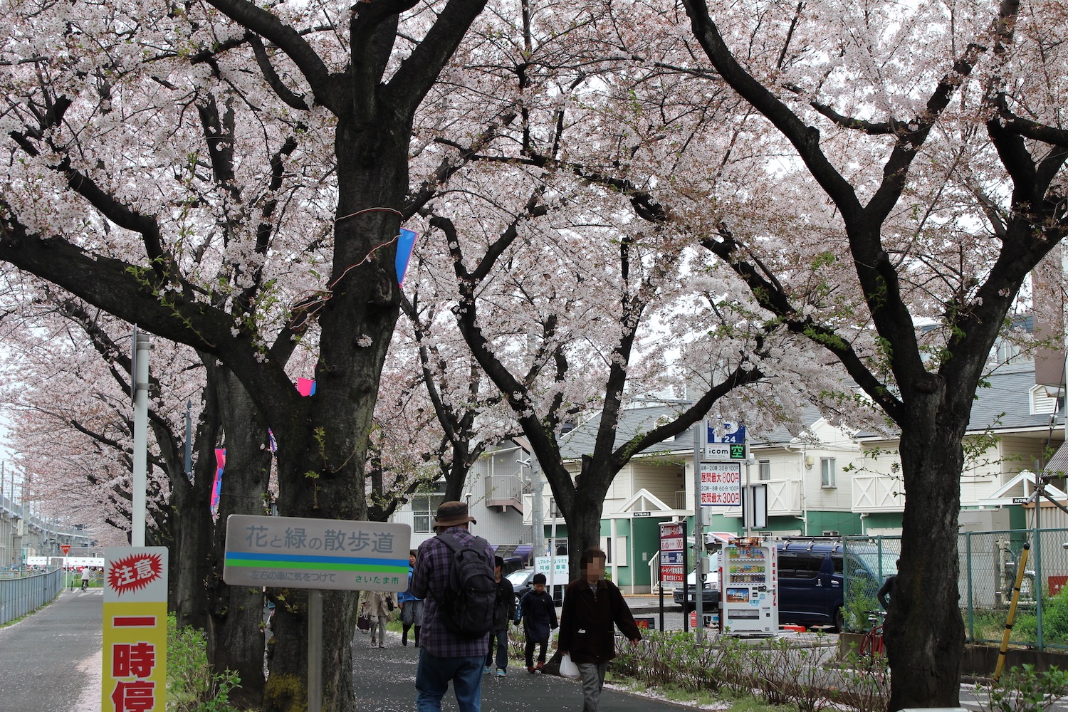 花と緑の散歩道