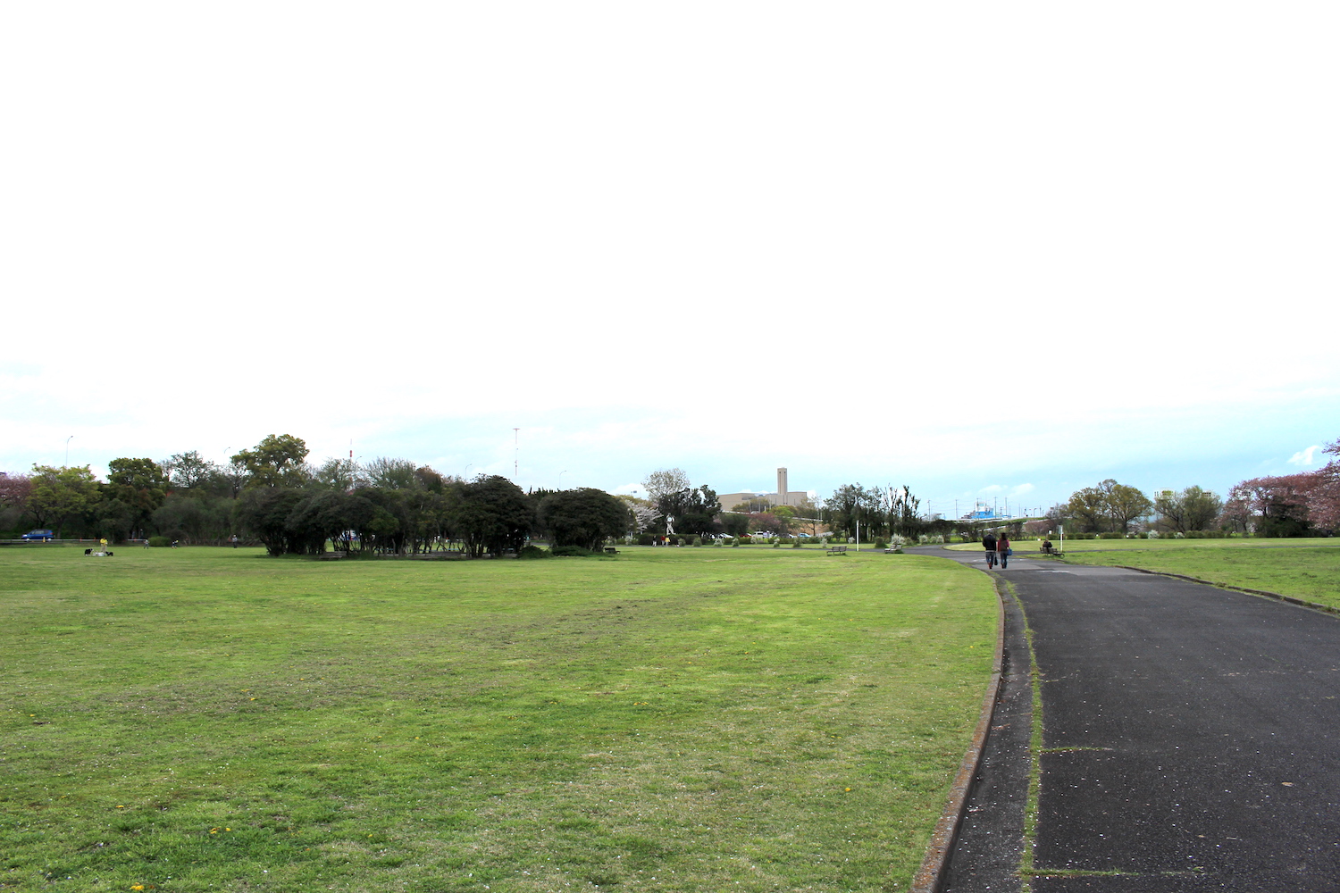 さくら草公園