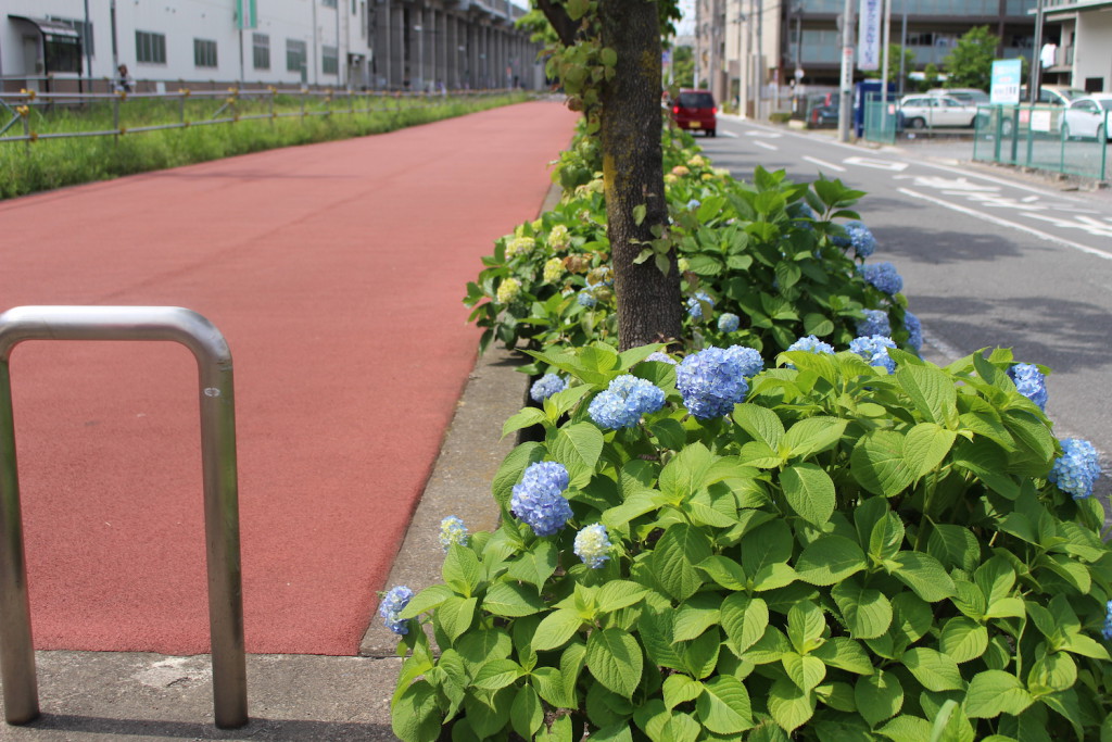 花と緑の散歩道 の紫陽花 駅の南側 武蔵浦和なび