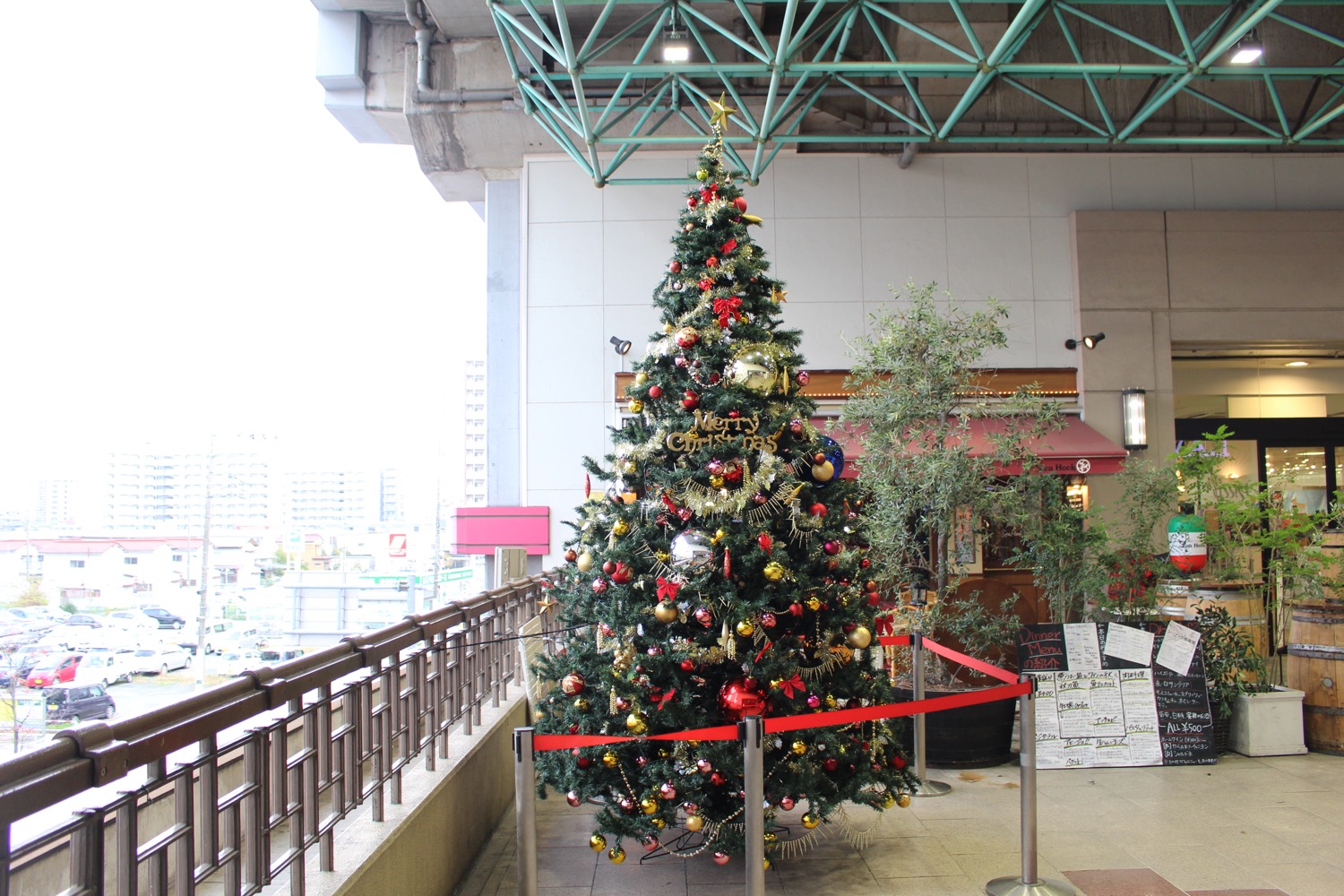 マーレのクリスマスツリー2015