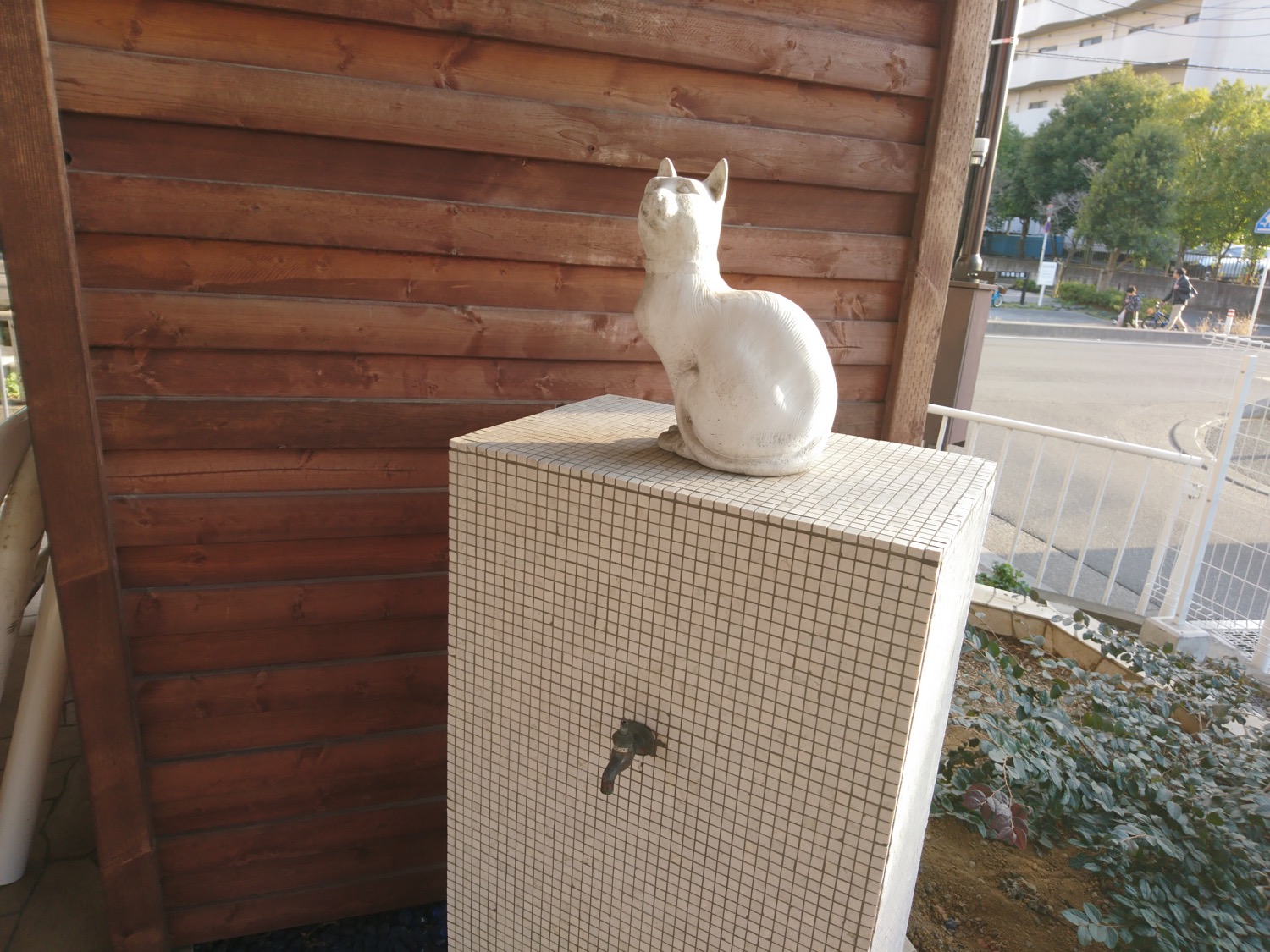 猫の水道?